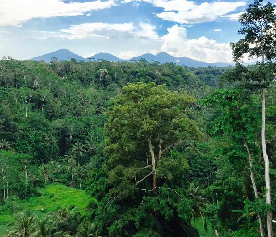 Ayuterra Resort Ubud Buitenkant foto