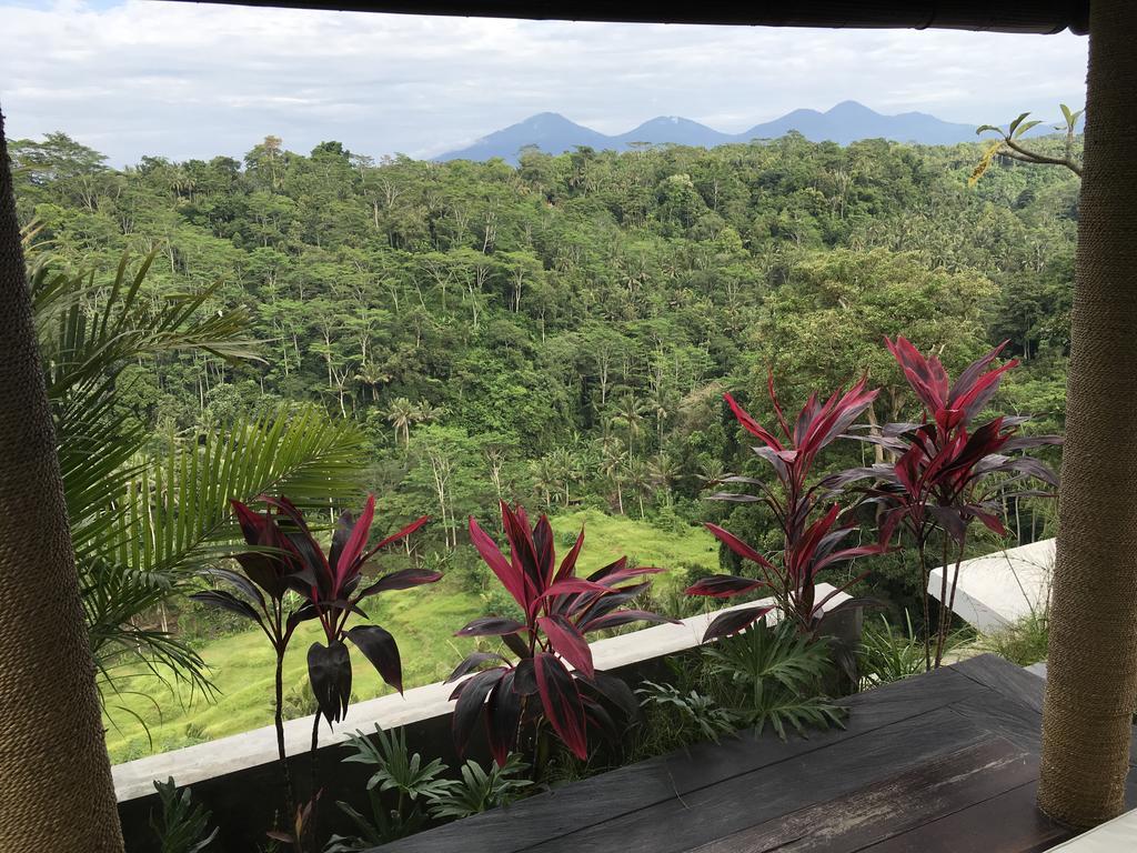 Ayuterra Resort Ubud Buitenkant foto